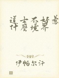 道士不好惹主角什么境界封面