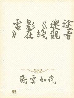 电影《迷途救赎》在线观看免费高清