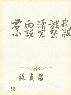 君向潇湘我向秦小说完整版