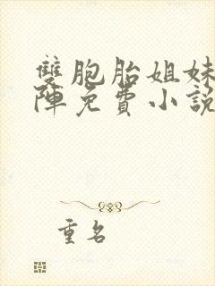 双胞胎姐妹齐上阵免费小说