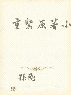 重紫原著小说