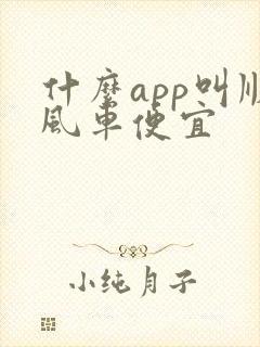 什么app叫顺风车便宜