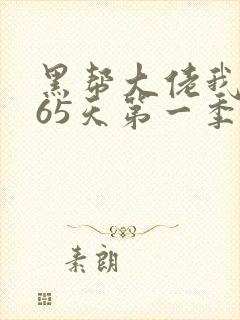 黑帮大佬我的365天第一季在线观看