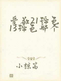 爱敬21号色和13号色哪个白封面
