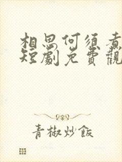 相思何须煮余年短剧免费观看全集
