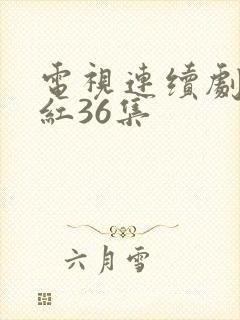 电视连续剧女儿红36集