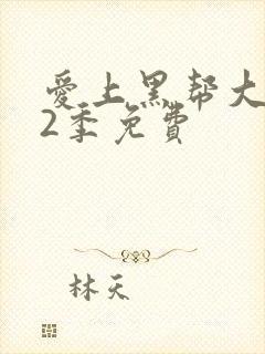 爱上黑帮大佬第2季免费封面
