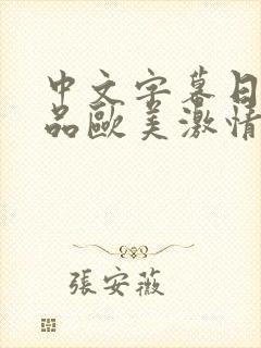 中文字幕日韩精品欧美激情
