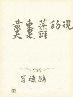 黄东萍的现任丈夫是谁