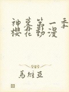 神墓第一季动漫樱花动漫封面