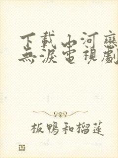 下载山河恋美人无泪电视剧封面