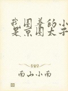 我圈养的小白脸是京圈太子爷短剧