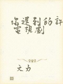 你迟到的许多年 电视剧封面