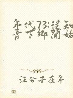 年代73:从知青下乡开始