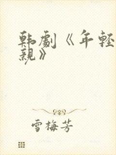 韩剧《年轻的母亲》