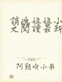 销魂姐姐小说全文阅读最新章节列表