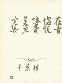 完美伴侣在线全集免费观看
