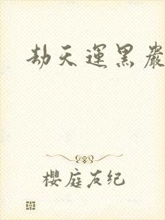 劫天运黑岩