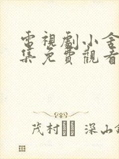 电视剧小舍得全集免费观看第17集封面