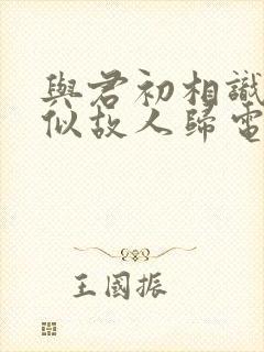 与君初相识·恰似故人归电视剧免费观看