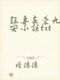 狂妻来袭九爷早安小说txt