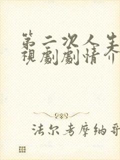 第二次人生 电视剧剧情介绍