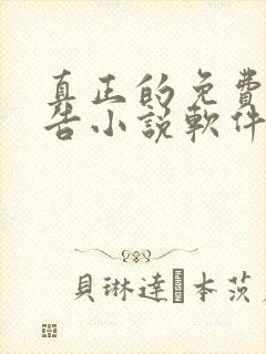 真正的免费无广告小说软件