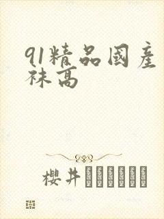 91精品国产丝袜高