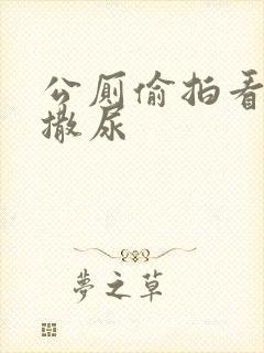 公厕偷拍看老头撒尿封面