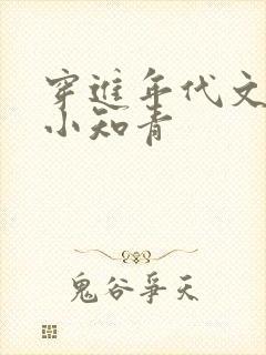 穿进年代文主攻小知青