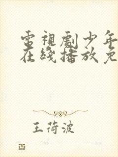 电视剧少年派2在线播放免费观看封面