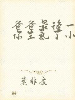 爸爸最后一次惹你生气了小说