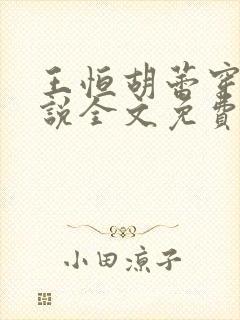 王恒胡蕾穿越小说全文免费阅读