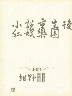 小说重生后我爆红娱乐圈