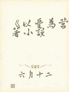 《以爱为营》原著小说