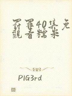 罚罪40集免费观看糯米封面