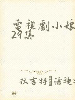 电视剧小娘惹第29集