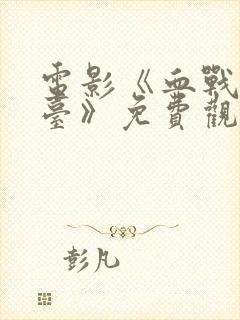 电影《血战雨花台》免费观看