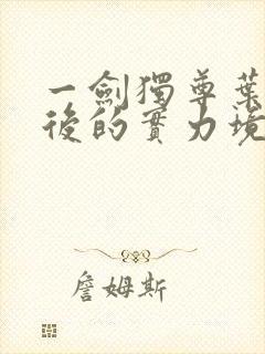 一剑独尊叶玄最后的实力境界