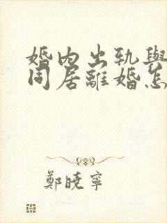 婚内出轨与他人同居离婚怎么判