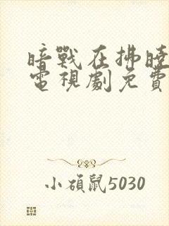 暗战在拂晓之前电视剧免费