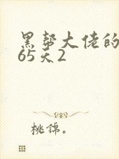 黑帮大佬的第365天2封面