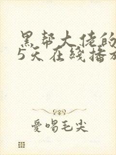 黑帮大佬的365天在线播放