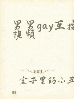 男男gay互操视频