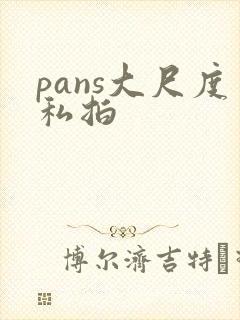 pans大尺度私拍