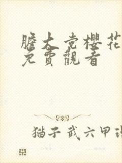 胆大党樱花动漫免费观看
