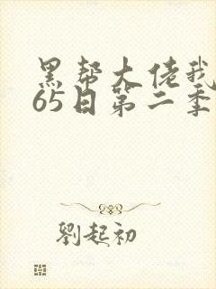 黑帮大佬我的365日第二季免费观看封面