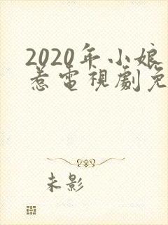 2020年小娘惹电视剧免费观看封面
