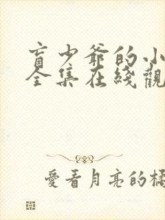 盲少爷的小女仆全集在线观看免费版