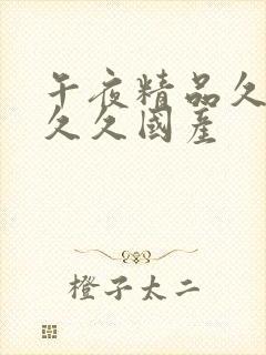 午夜精品久久久久久国产